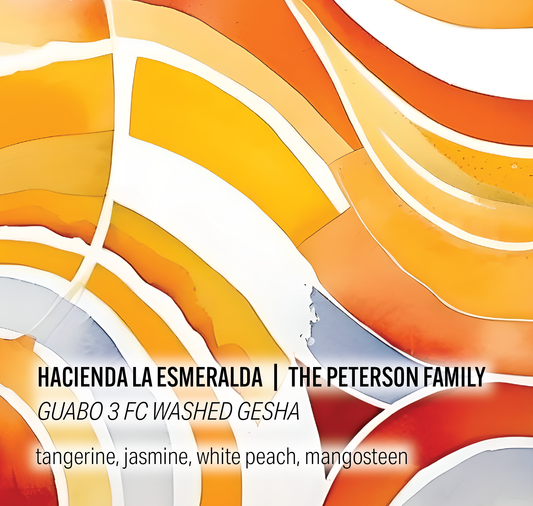 Hacienda La Esmeralda Peterson Family - Guabo 3 FC Washed Gesha - Panama