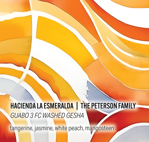 Hacienda La Esmeralda Peterson Family - Guabo 3 FC Washed Gesha