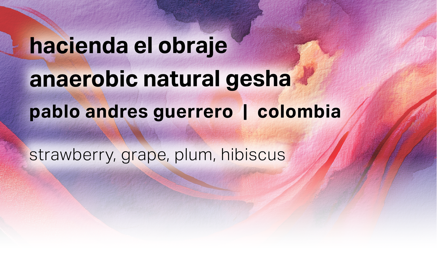 Hacienda El Obraje - Pablo Andres Guerrero - Anaerobic Natural Gesha - Colombia