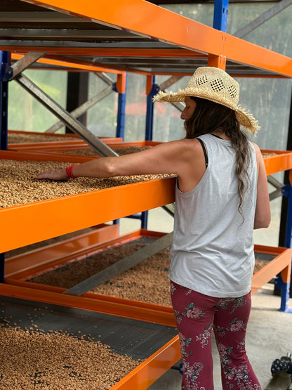 Finca Soledad - Florcita Double Honey Sidra - Ecuador