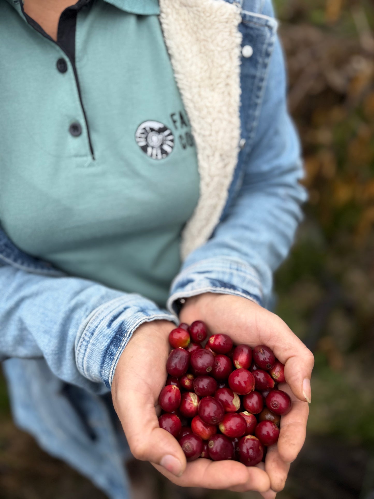 Joel Mirez Marin Family - Anaerobic Natural Catuai Marshell Gesha - Peru