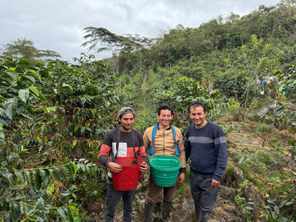 Joel Mirez Marin Family - Anaerobic Natural Catuai Marshell Gesha - Peru