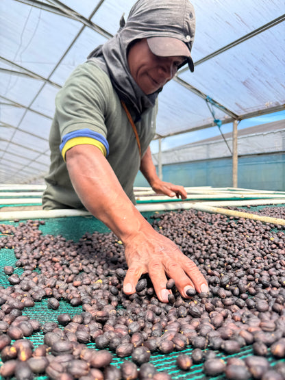 Chevas Coffee Estate Jose Luis Chevas - Washed Gesha - Panama