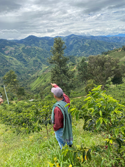 El Jardin - Jorge Rojas - Washed Chiroso - Colombia