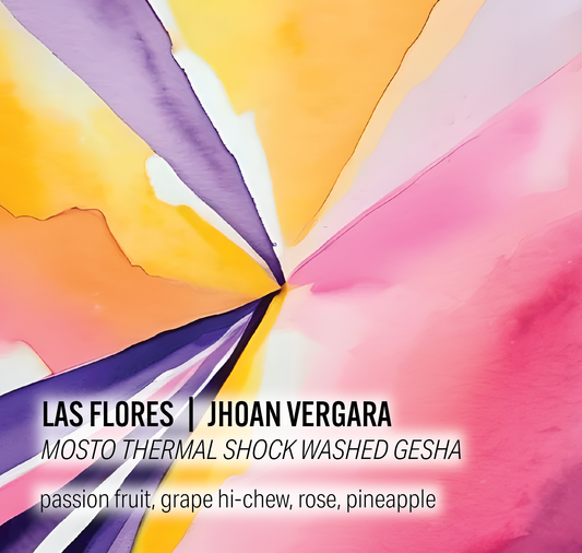 Jhoan Vergara Las Flores - Mosto Thermal Shock Washed Gesha - Colombia