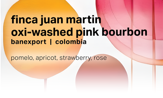 Finca Juan Martin - Oxidation Washed Pink Bourbon - Colombia