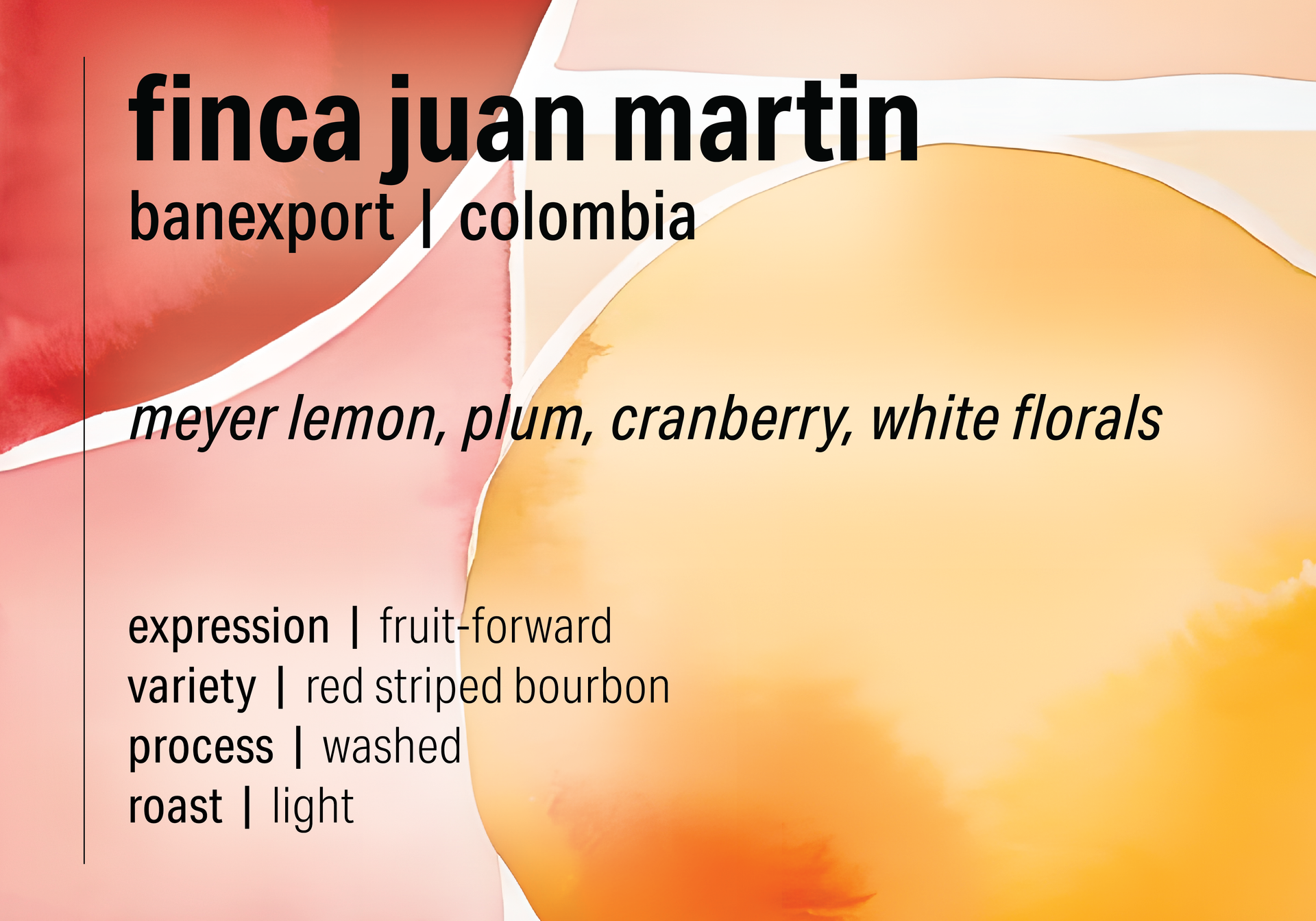 Mystery Coffee League June 2025 - Finca Juan Martin - Washed Red
