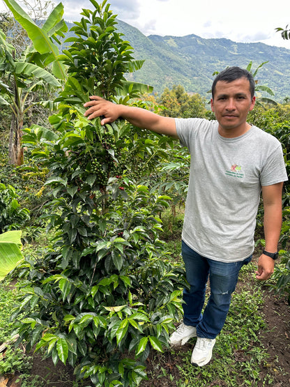 Carlos Estrella Gesha Washed - Finca La Estrella Lot #1 - Colombia
