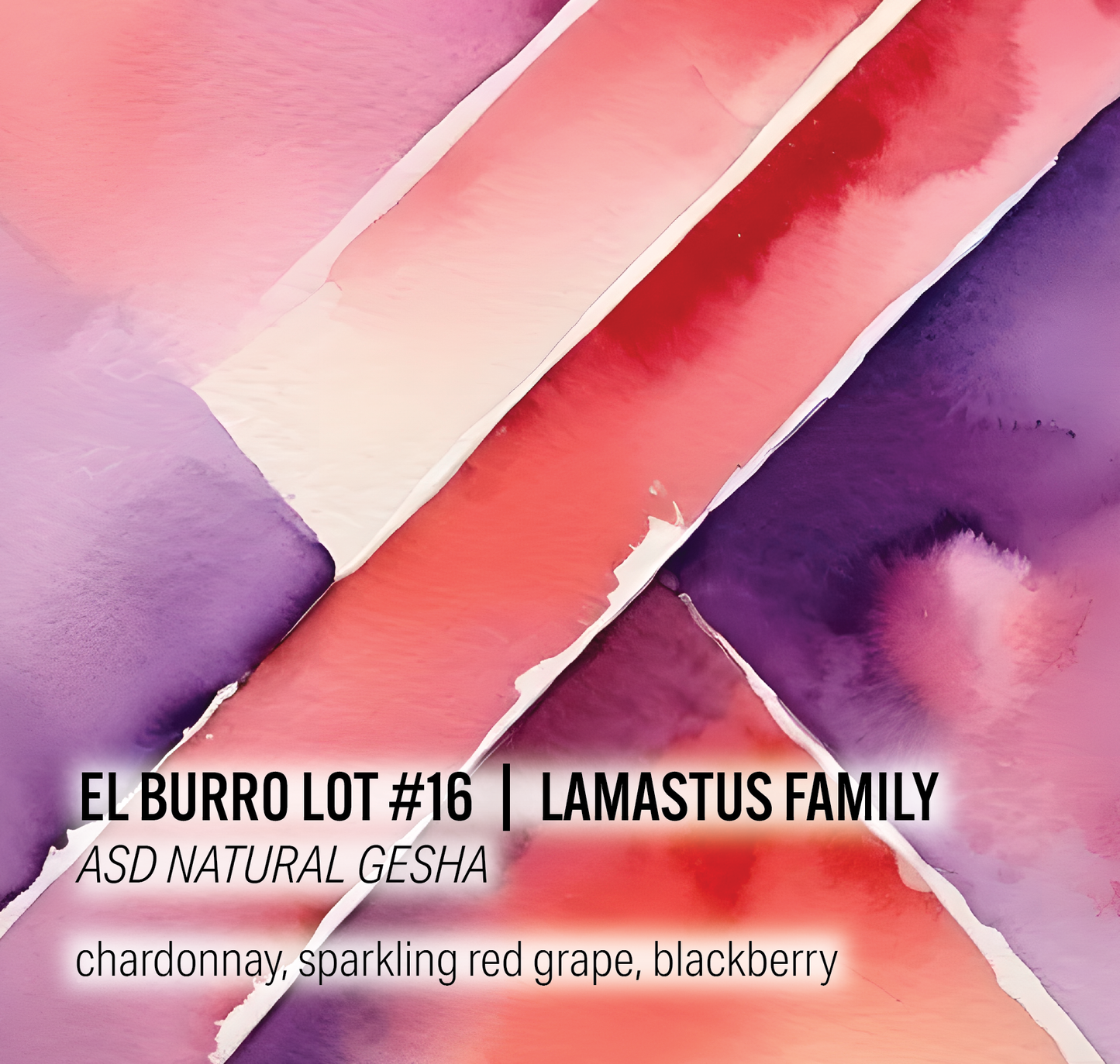 Lamastus Family El Burro Lot #16- ASD Natural Gesha - Panama