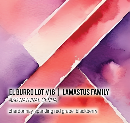 Lamastus Family El Burro Lot #16- ASD Natural Gesha - Panama