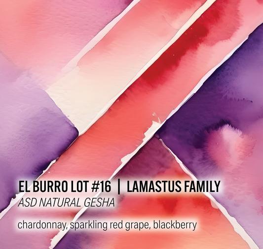Lamastus Family El Burro Lot #16- ASD Natural Gesha - Panama