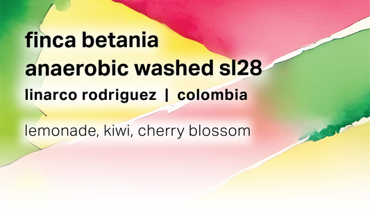 Linarco Rodriguez Finca Betania - Anaerobic Washed SL28 - Colombia