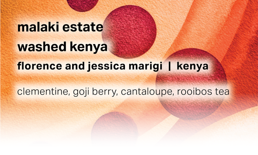 Malaki Estate - Florence and Jessica Marigi - Washed Kenya - Kenya