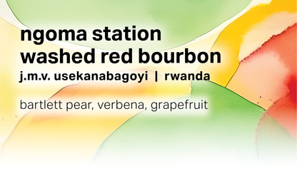 Ngoma Station J.M.V. Usekanabagoyi - Washed Red Bourbon - Rwanda