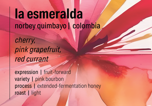 Finca La Esmeralda - Experimental Honey Pink Bourbon - Colombia