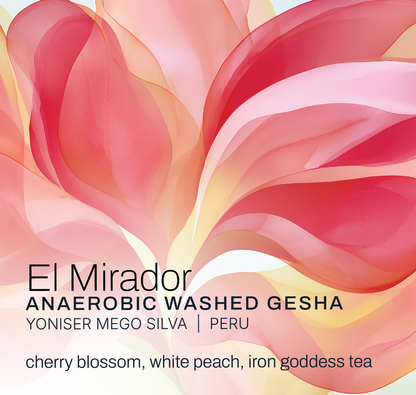 El Mirador - Yoniser Mego Silva - Anaerobic Washed Gesha - Peru