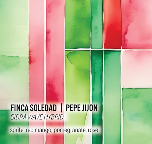 Pepe Jijon Finca Soledad - Sidra Wave Hybrid - Ecuador