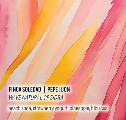 Pepe Jijon Finca Soledad - Wave Natural CF Sidra - Ecuador