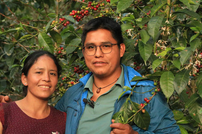 Chavez Estate Lot #2 - Jhenrri Chavez - Washed SL9 - Peru