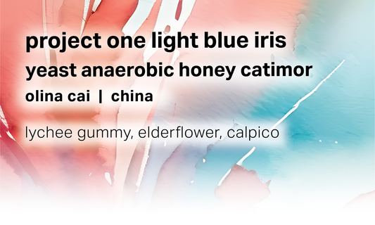 Project One Light Blue Iris - Yeast Anaerobic Honey Catimor - China