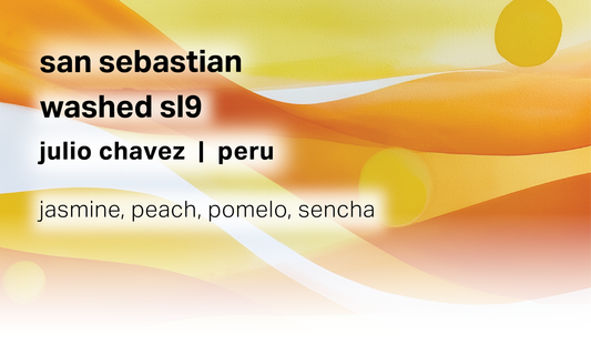 San Sebastian - Julio Chavez - Washed SL9 - Peru