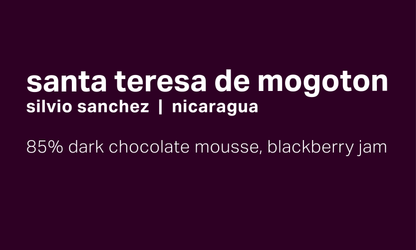 Silvio Sanchez Santa Teresa de Mogoton - Natural Catuai - Nicaragua