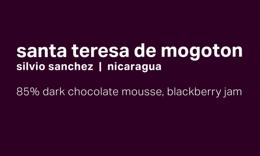 Silvio Sanchez Santa Teresa de Mogoton - Natural Catuai - Nicaragua