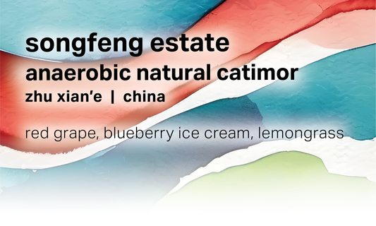 Zhu Xian’e Songfeng Estate - Anaerobic Natural Catimor - China