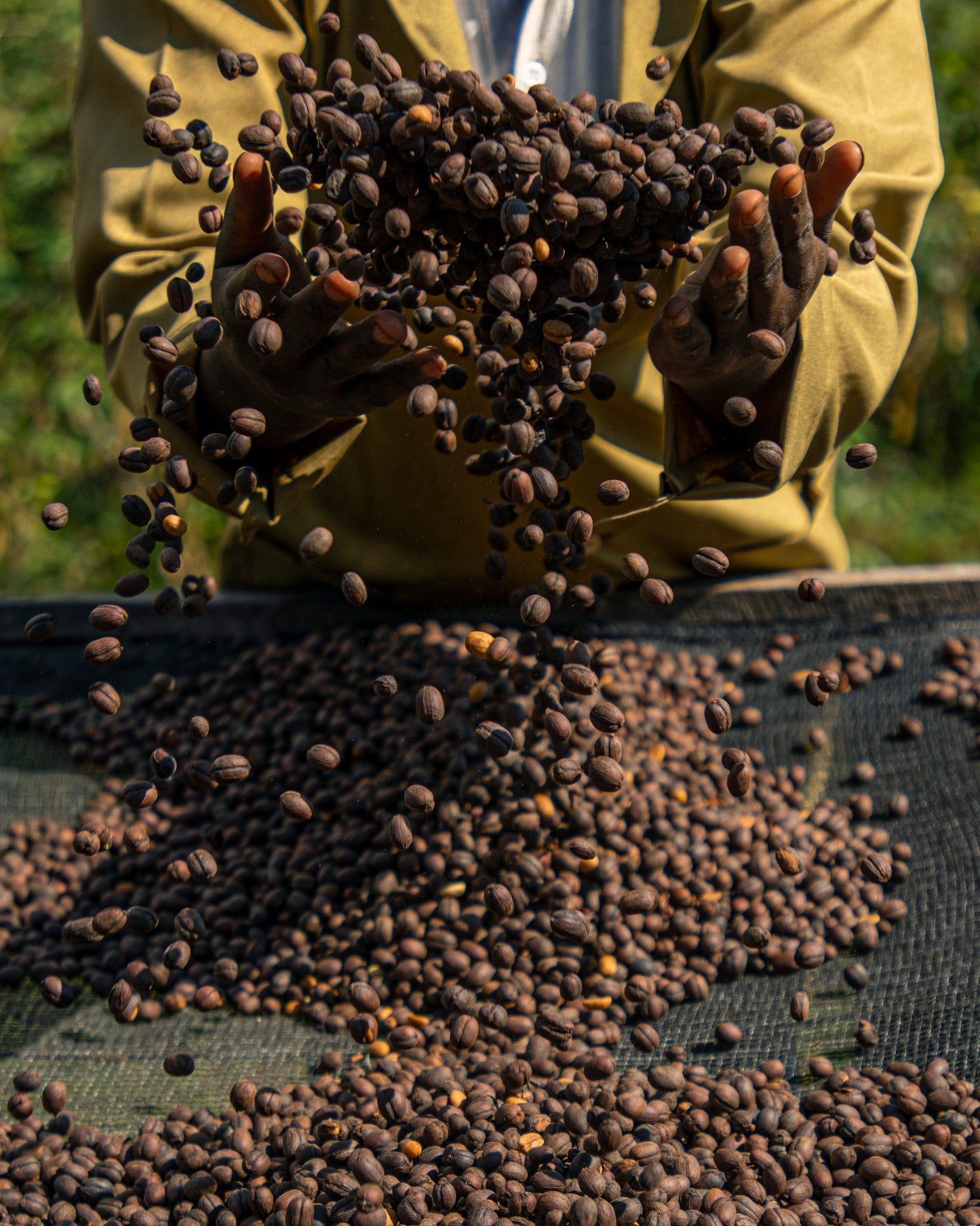 Muhororo Washing Station - Smallholder Farmers - Swiss Water Process Decaf Natural Red Bourbon - Rwanda
