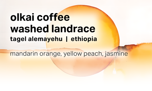 Tagel Alemayehu Olkai Coffee - Washed Landrace - Ethiopia