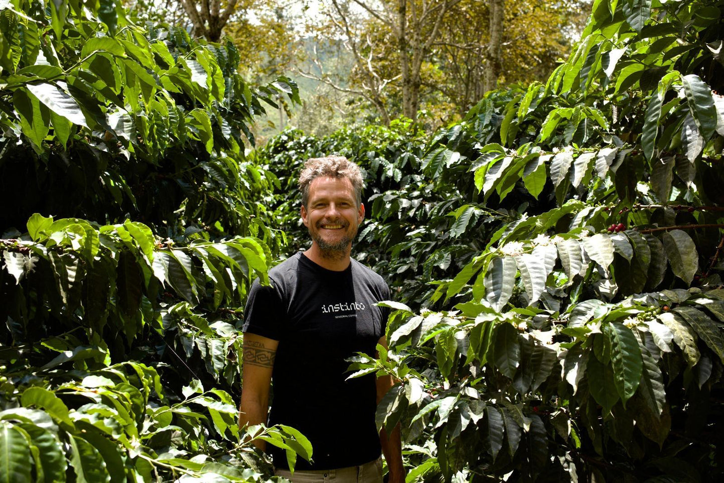 Finca Soledad - TyOxidator Typica Mejorado - Ecuador