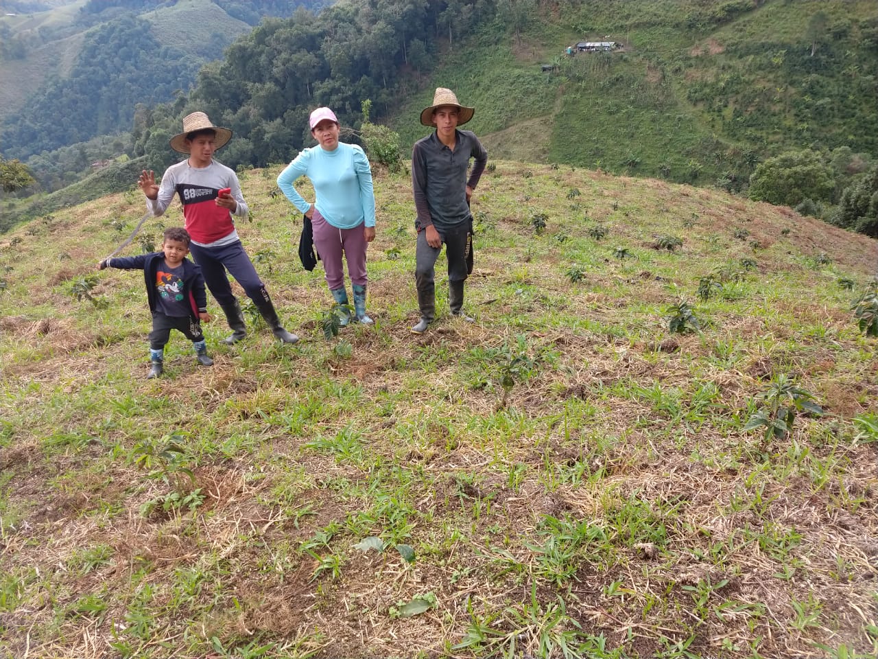Eulises Guzman Serrato La Lomita - Washed Pink Bourbon - Colombia