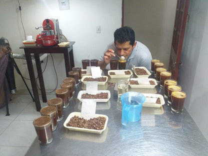 Eulises Guzman Serrato La Lomita - Washed Pink Bourbon - Colombia