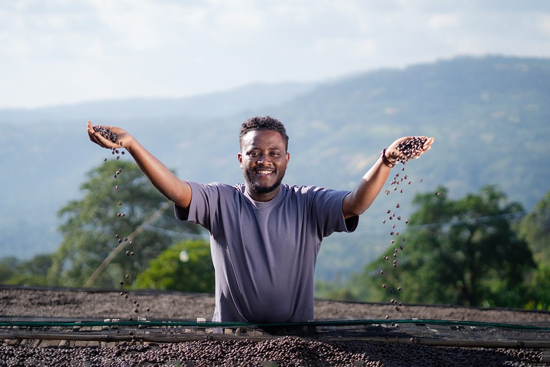 Alo Coffee Auction 2025 - Moon Shadow Natural #3 (MSN3) - Ethiopia