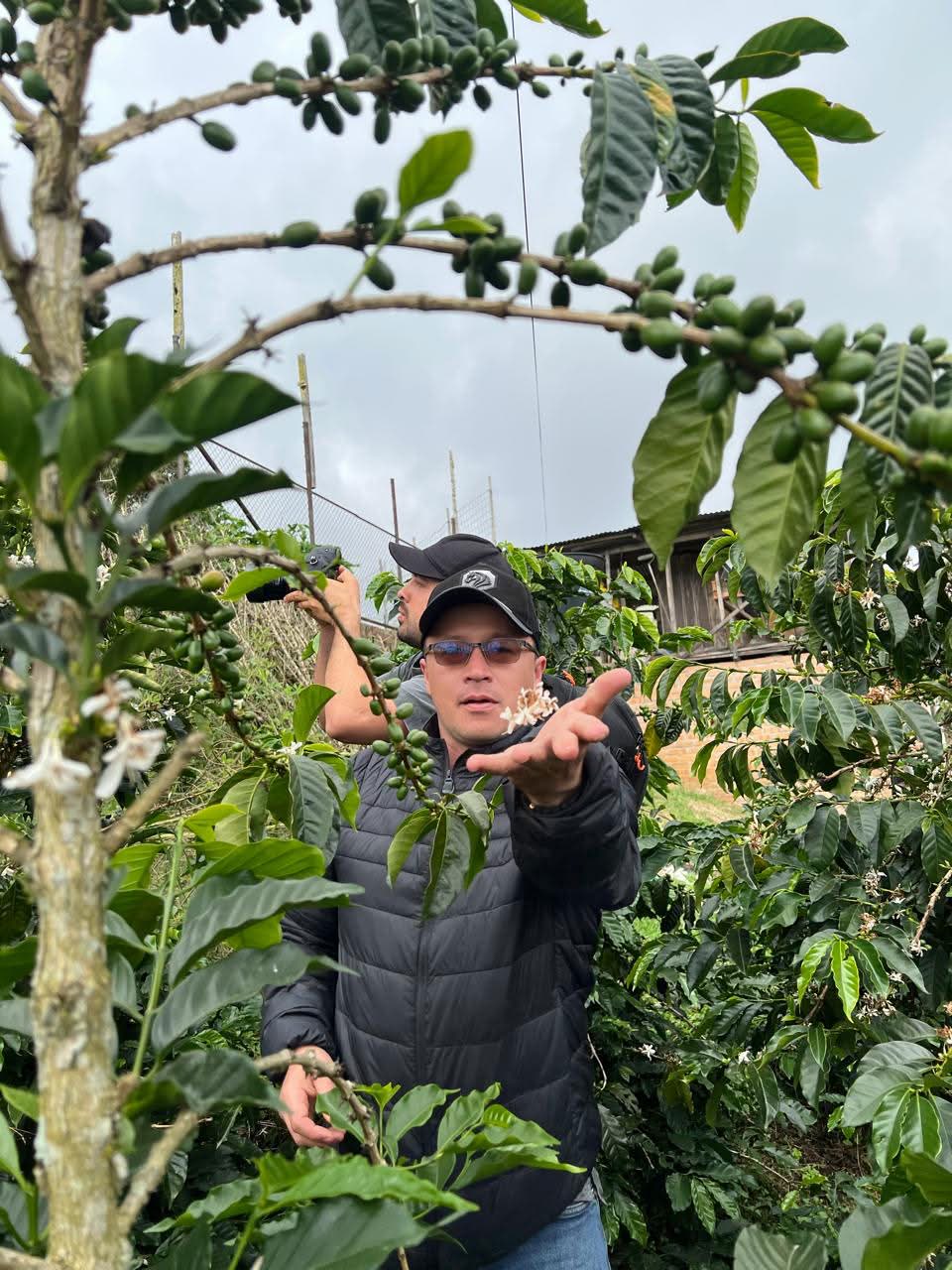 Finca Anaya - Sergio Aranda Gomez - Cinnamon Sugarcane Tabi - Colombia