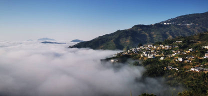 Zhu Xian’e Songfeng Estate - Anaerobic Natural Catimor - China