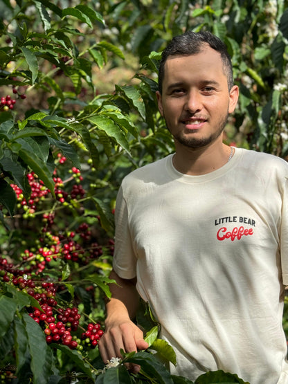 Finca El Rincon - Diego Horta - Anaerobic Natural Colombia - Colombia