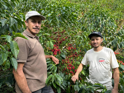 Finca El Rincon - Diego Horta - Anaerobic Natural Colombia - Colombia