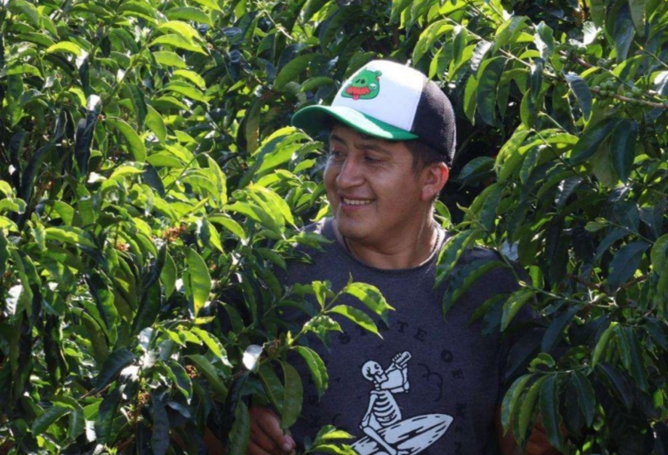 Finca Artemira - Ebert Huaman - Anaerobic Washed Catuai - Peru