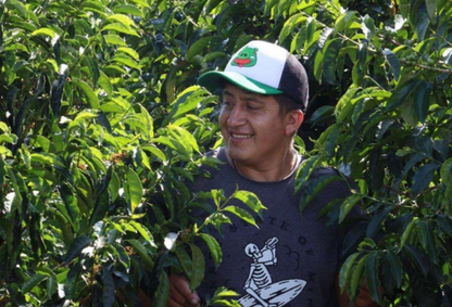 Finca Artemira - Ebert Huaman - Anaerobic Washed Catuai - Peru