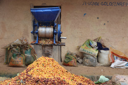 El Paraiso Village - Smallholder Farmers - Natural Field Blend - Peru