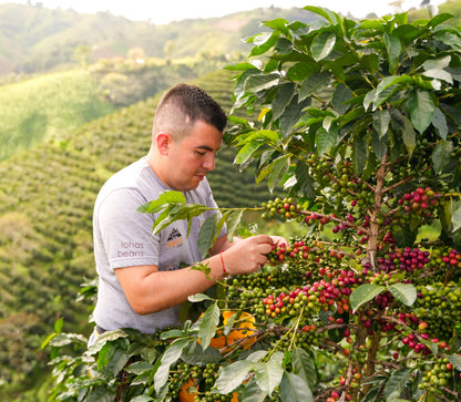 Las Flores - Jhoan Vergara - Anaerobic Thermal Shock Washed Decaf Pink Bourbon - Colombia