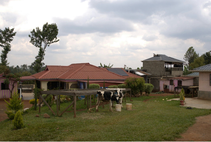 Malaki Estate - Florence and Jessica Marigi - Washed Kenya - Kenya