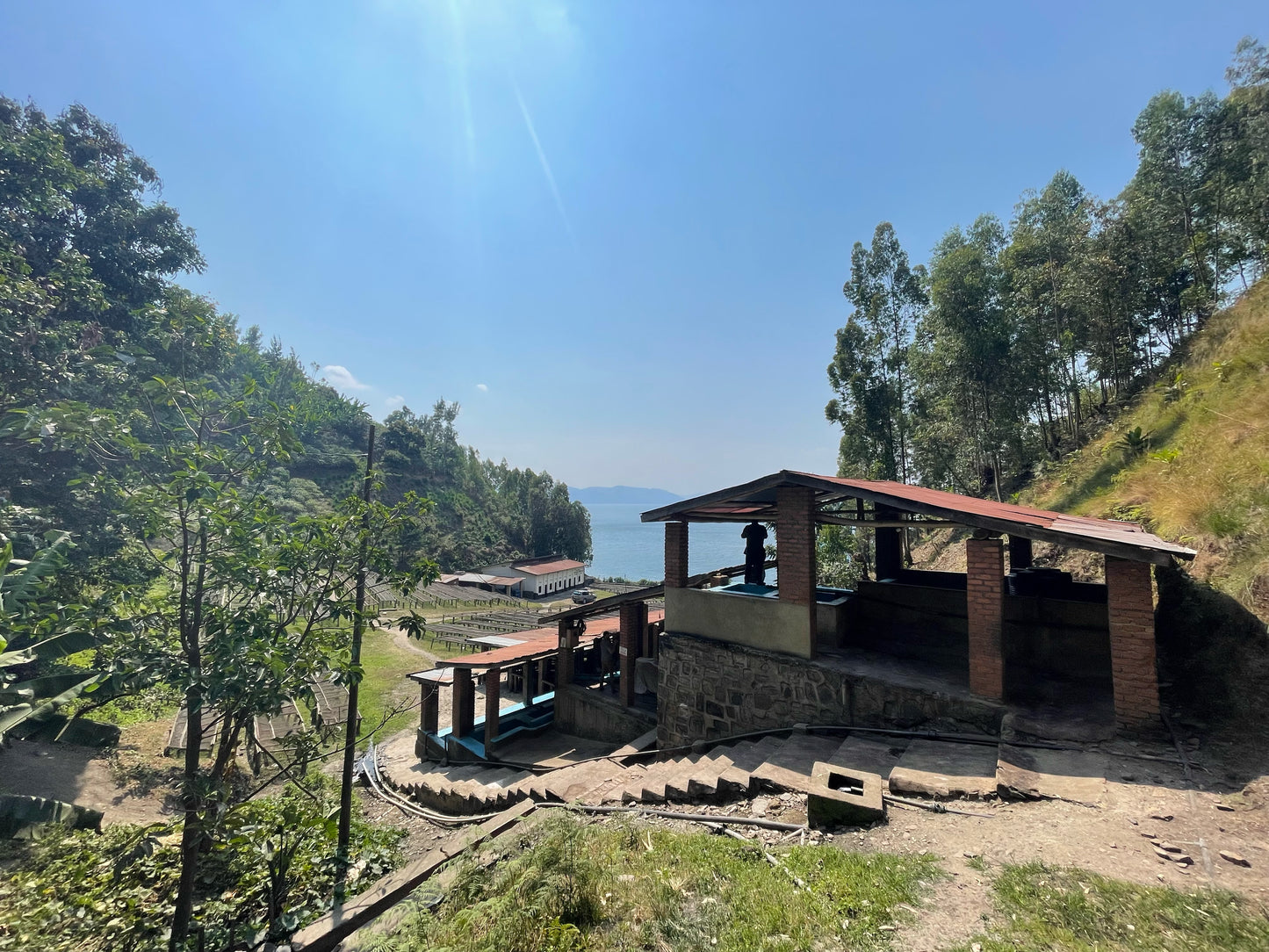 Ngoma Station J.M.V. Usekanabagoyi - Washed Red Bourbon - Rwanda